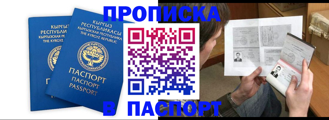 прописка гарантия в Пионерском